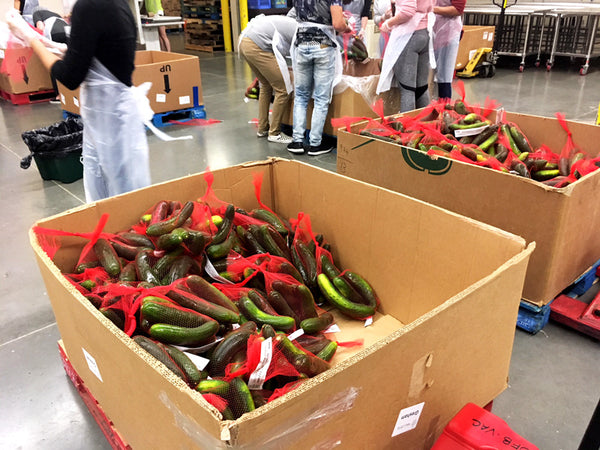 bags of zucchini ready to be sent out!