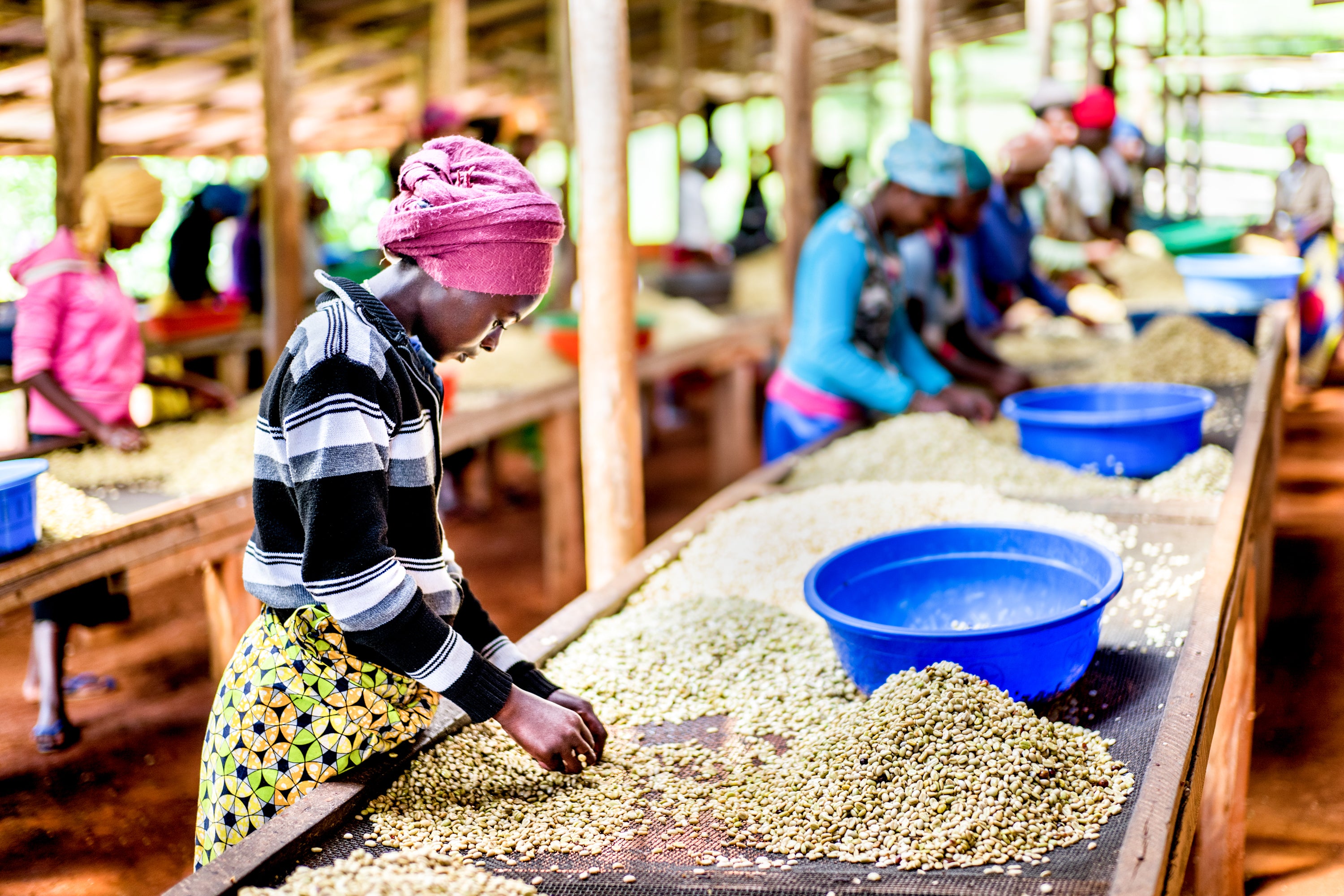 rwanda women in coffee