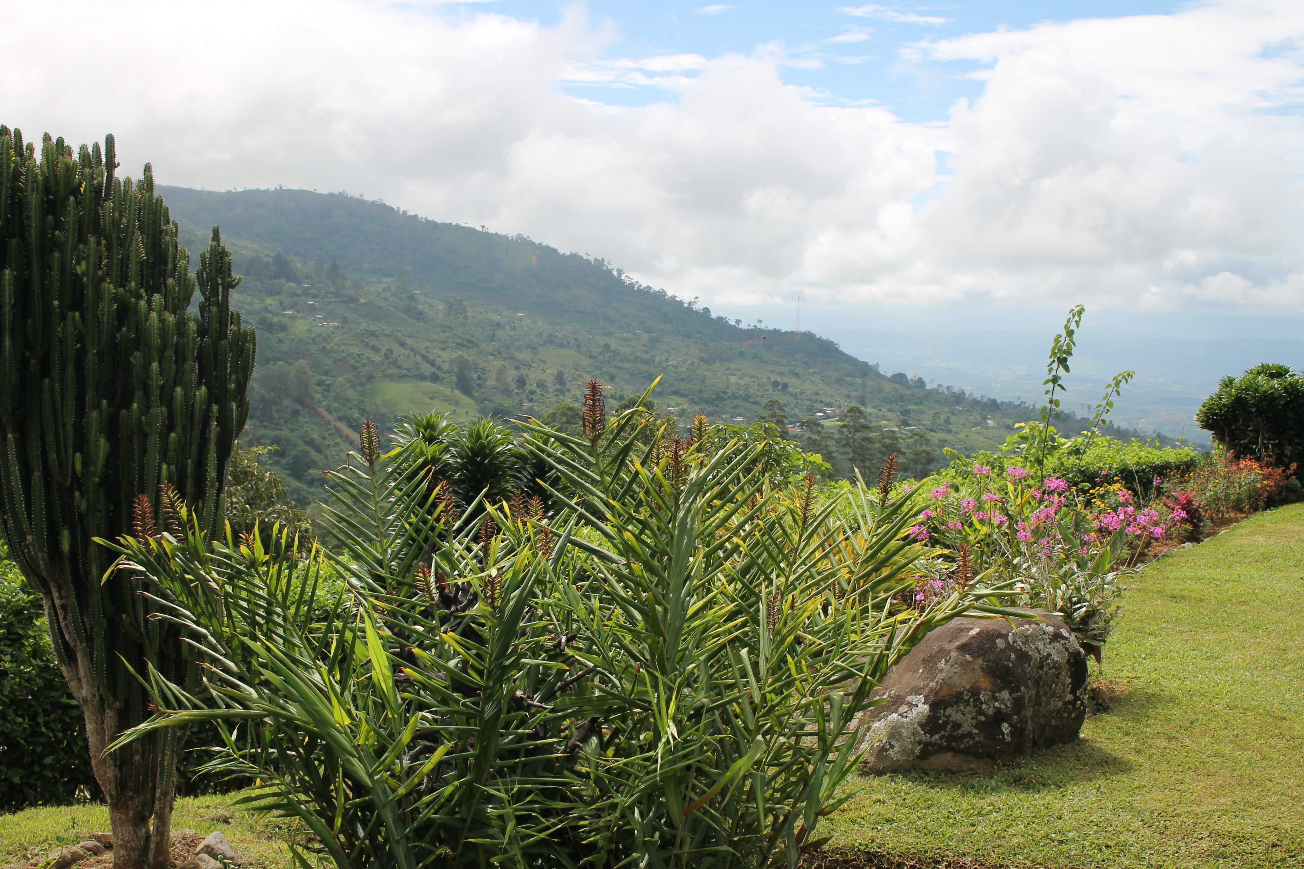 San Juanillo Farm