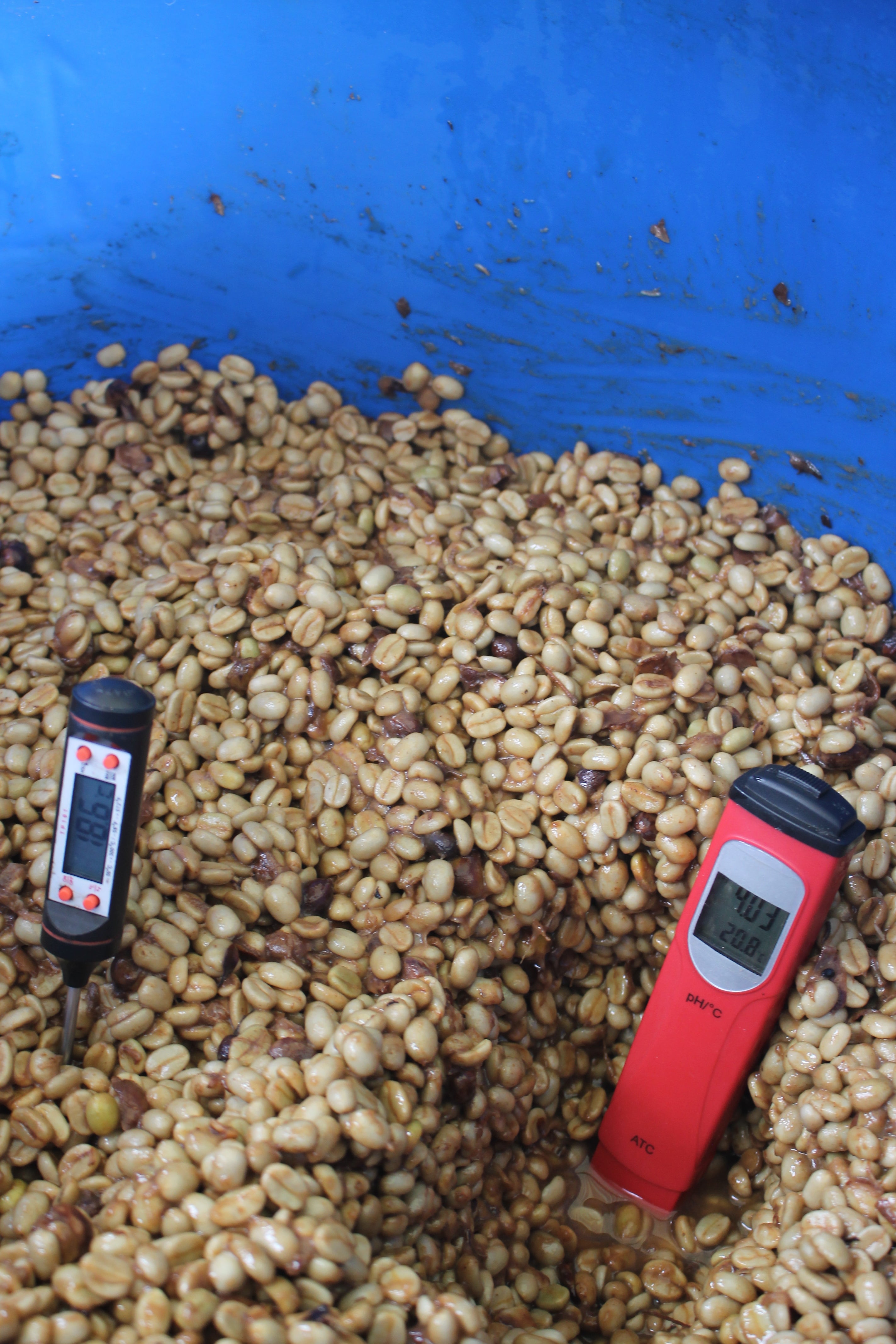 union hand roasted coffee anaerobic processing peru chirinos