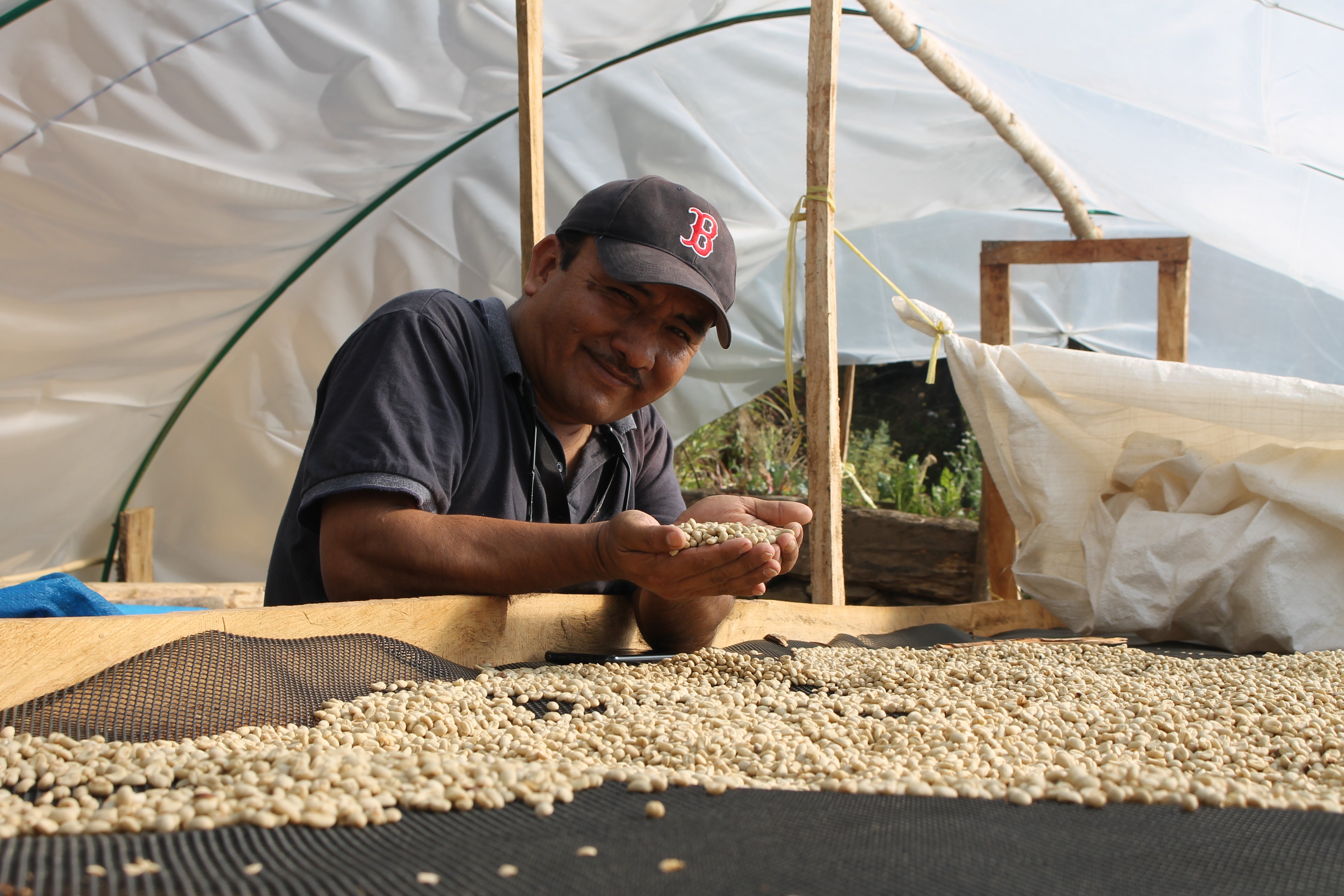 union hand roasted coffee huadquina greenhouse peru