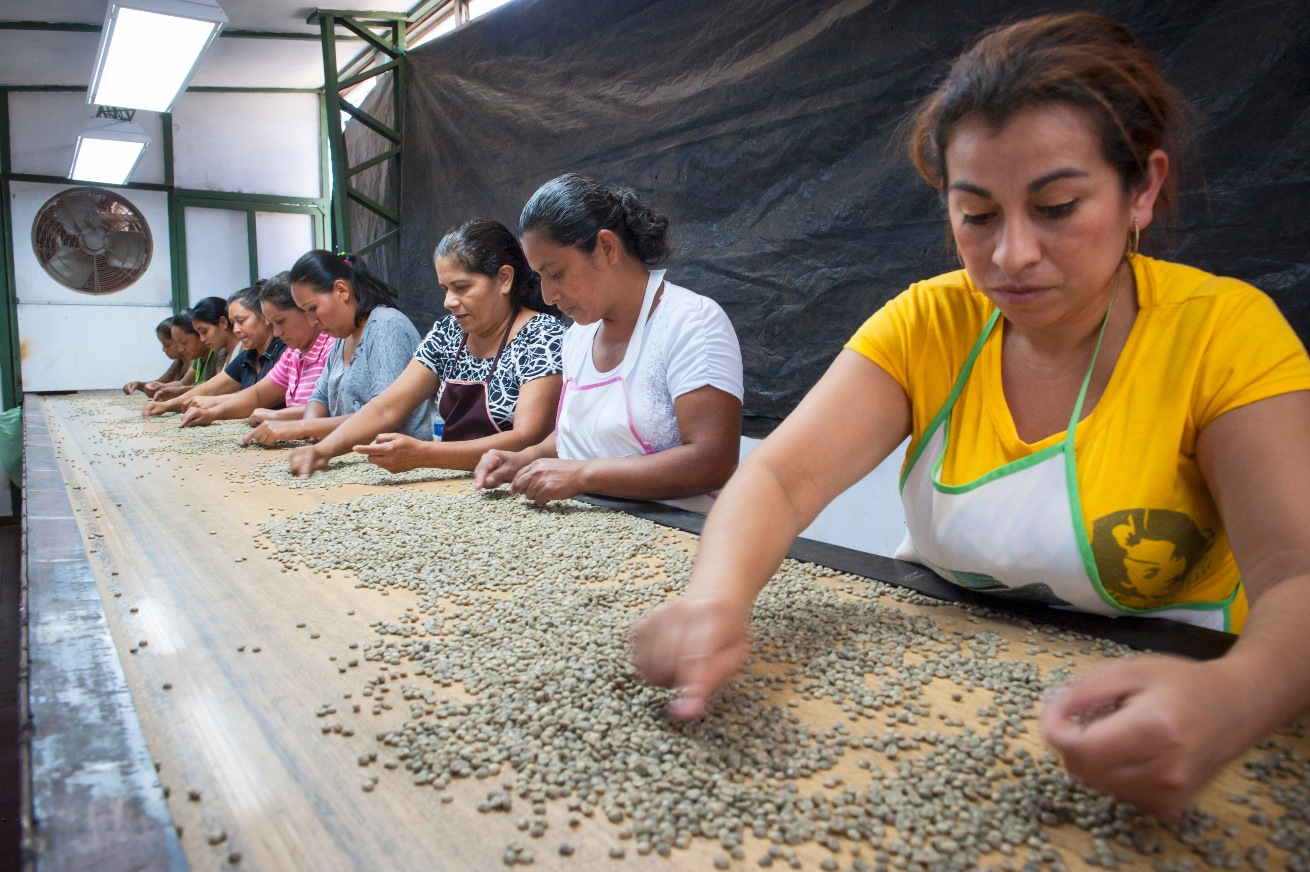 union roasted women in coffee