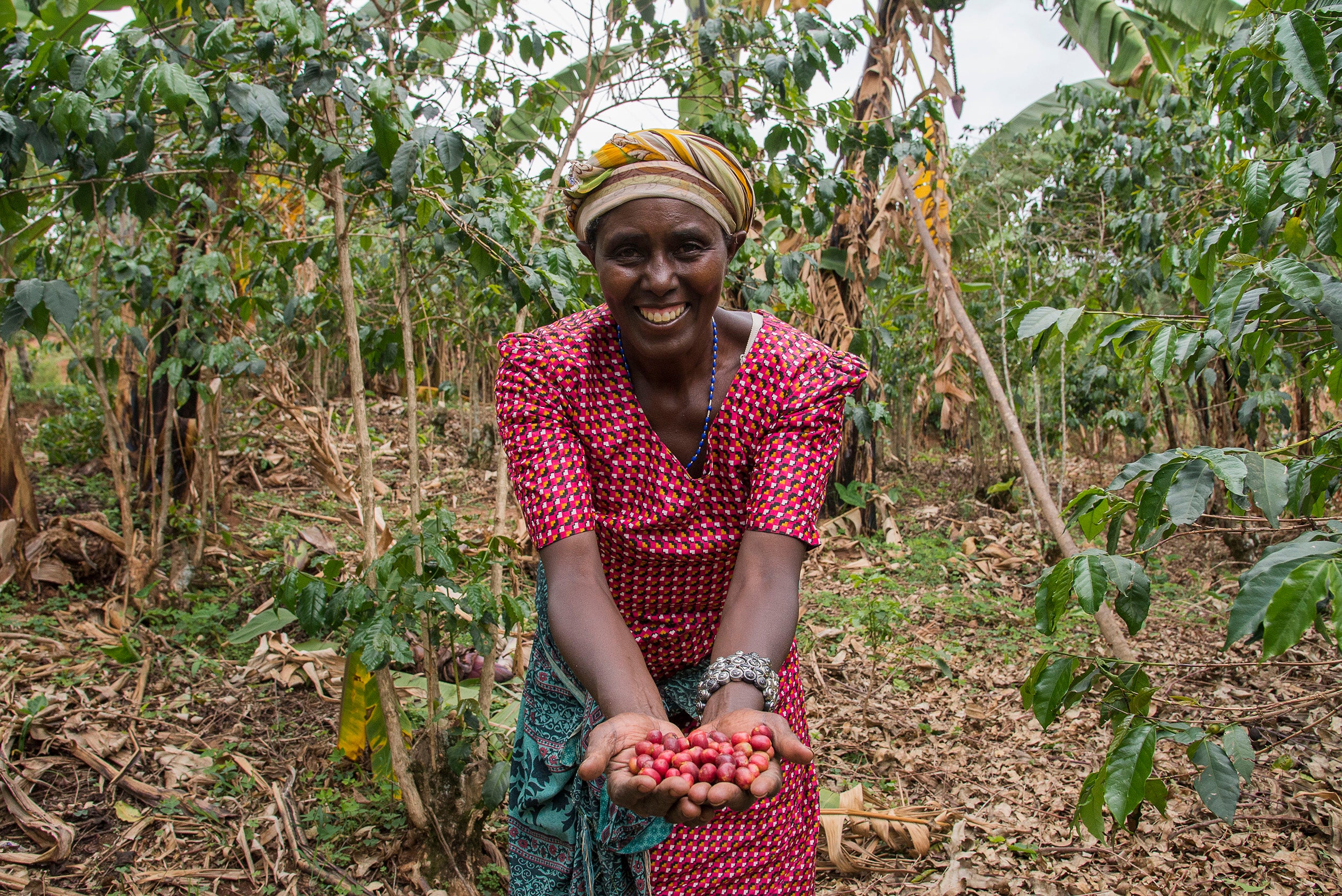 Women's Group Maraba Coffee Clautilde