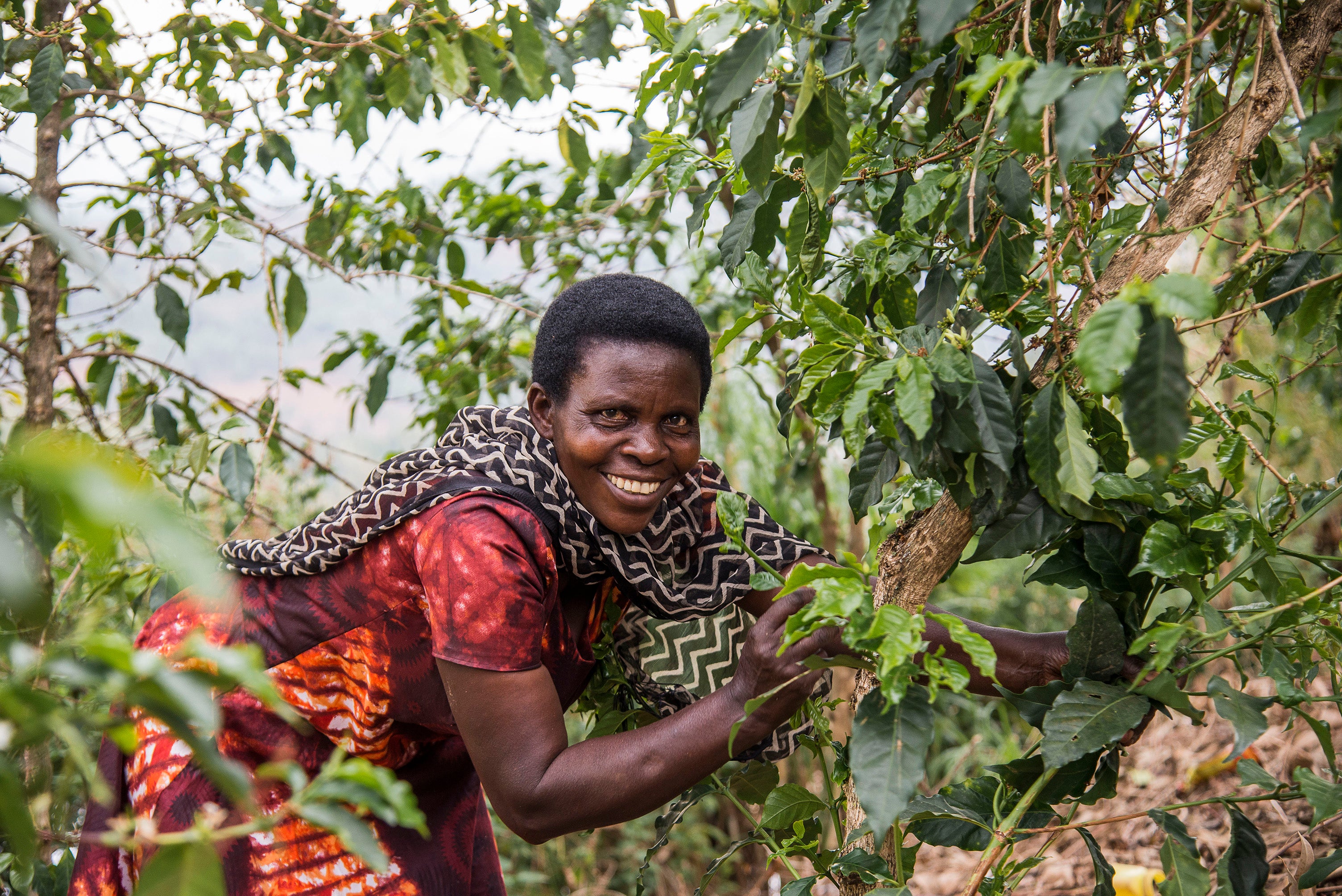 Venantia Maraba Women's Group Christmas Roast