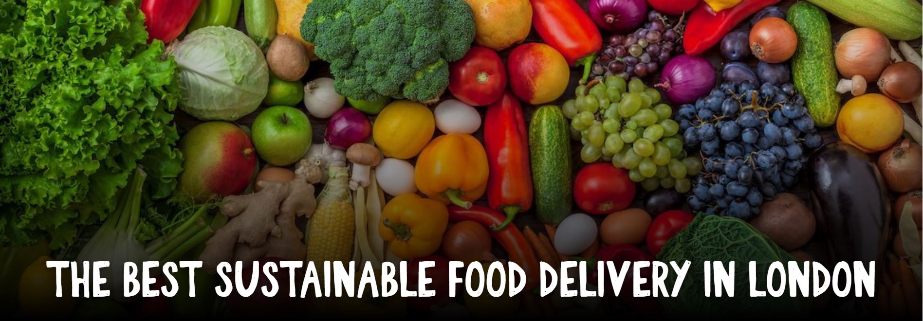 The Best Sustainable Food Delivery in London