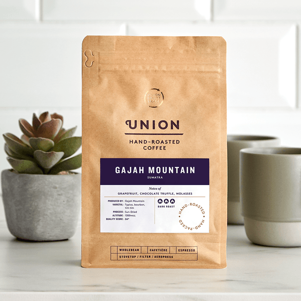 Wilfa Grinder  Union Hand-Roasted Coffee – Union Coffee