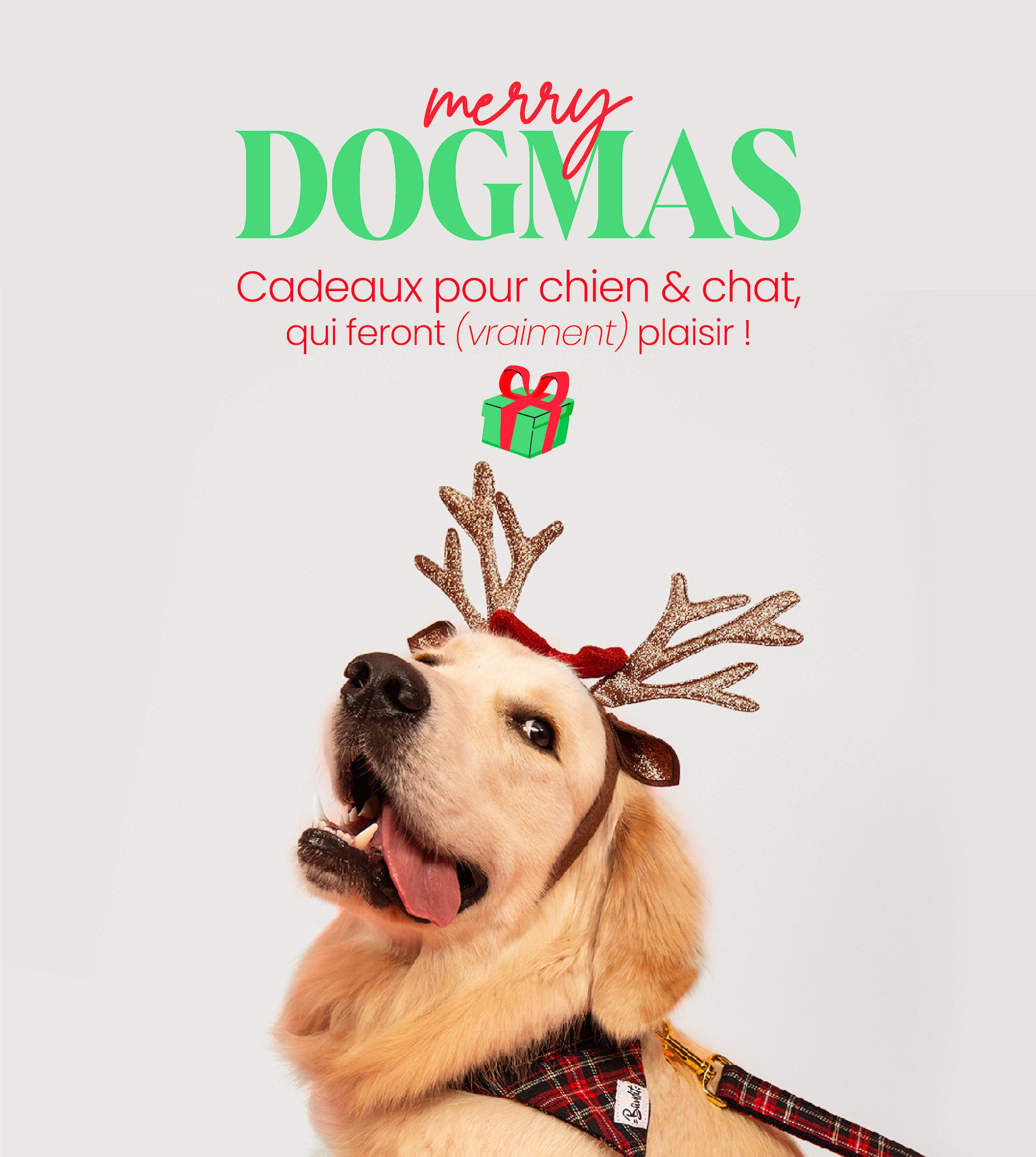 Cadeaux de Noël pour chiens & chats – French Bandit