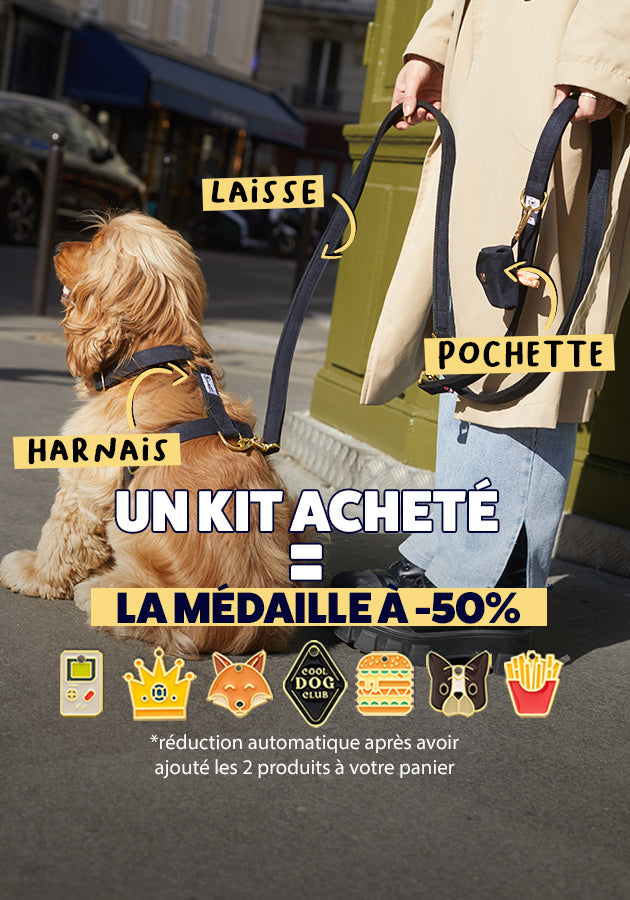 Médaille pour chien 'Labradoudou'  BANDIT – Mouflette – Sélection bien  sentie