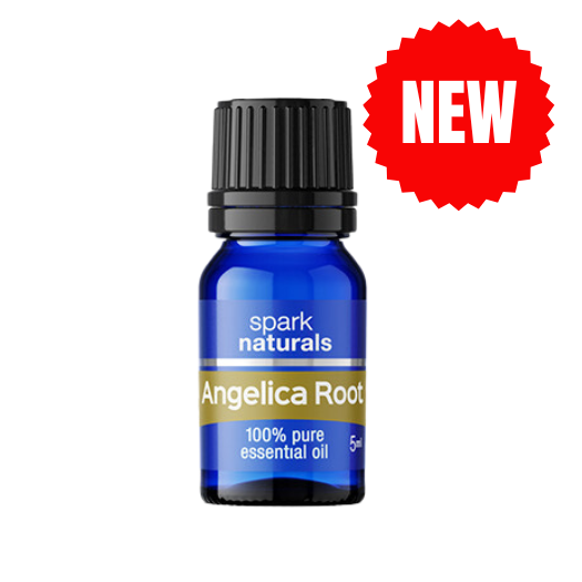 Angelica Root 100% Pure Essential Oil (Therapeutic Grade) 100% Pure  Essential Oils