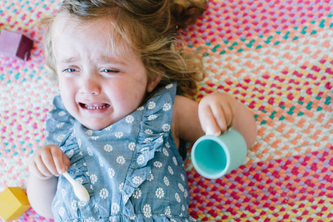 What is the meaning of tantrums and how to stop them