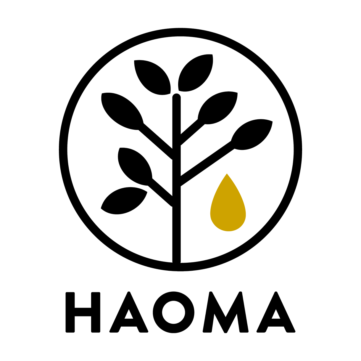 Haoma Logo