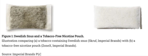 Snus vs Pouch