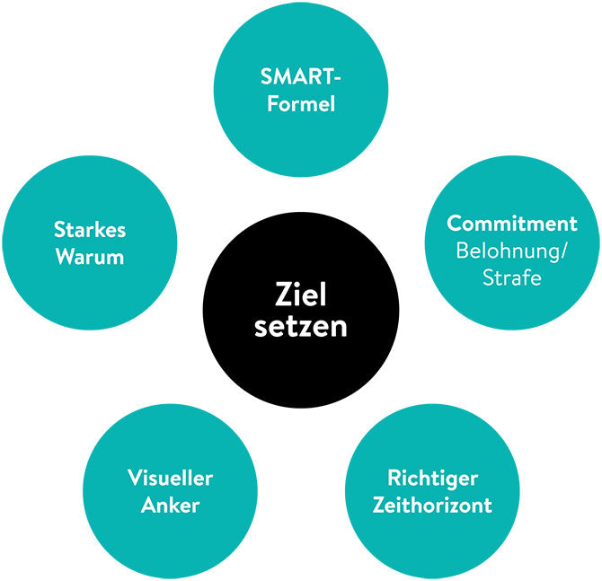 Grafik mit 5 Prinzipien, um richtig Ziele zu setzen