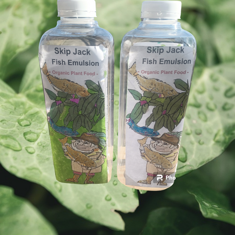 Skip Jack Fish Emulsion Organic Plant Food Where to buy near me- buy best buy now 100% Fish 100% Organic