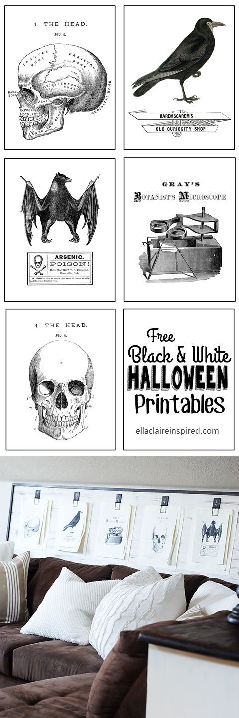 imprimibles de halloween para fiestas