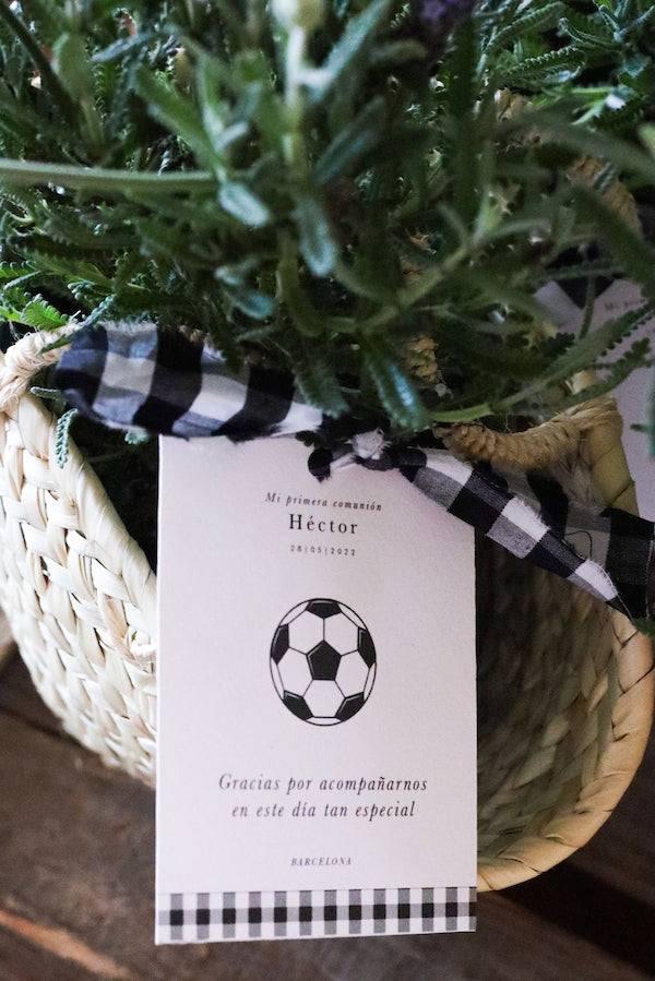 idéias de decoração de comunhão de futebol Festa de Olivia