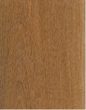 WAA + Golden Oak WAA + Golden Oak