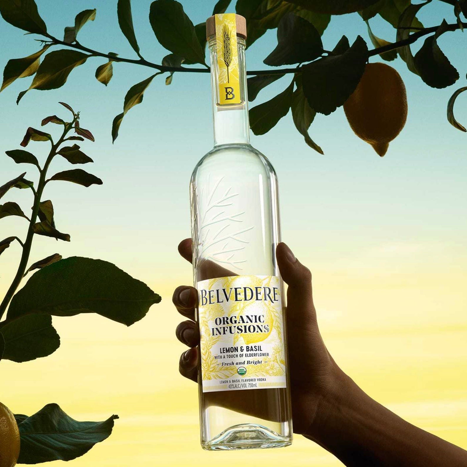 Belvedere Infusions Blackberry and Lemongrass, 70cl