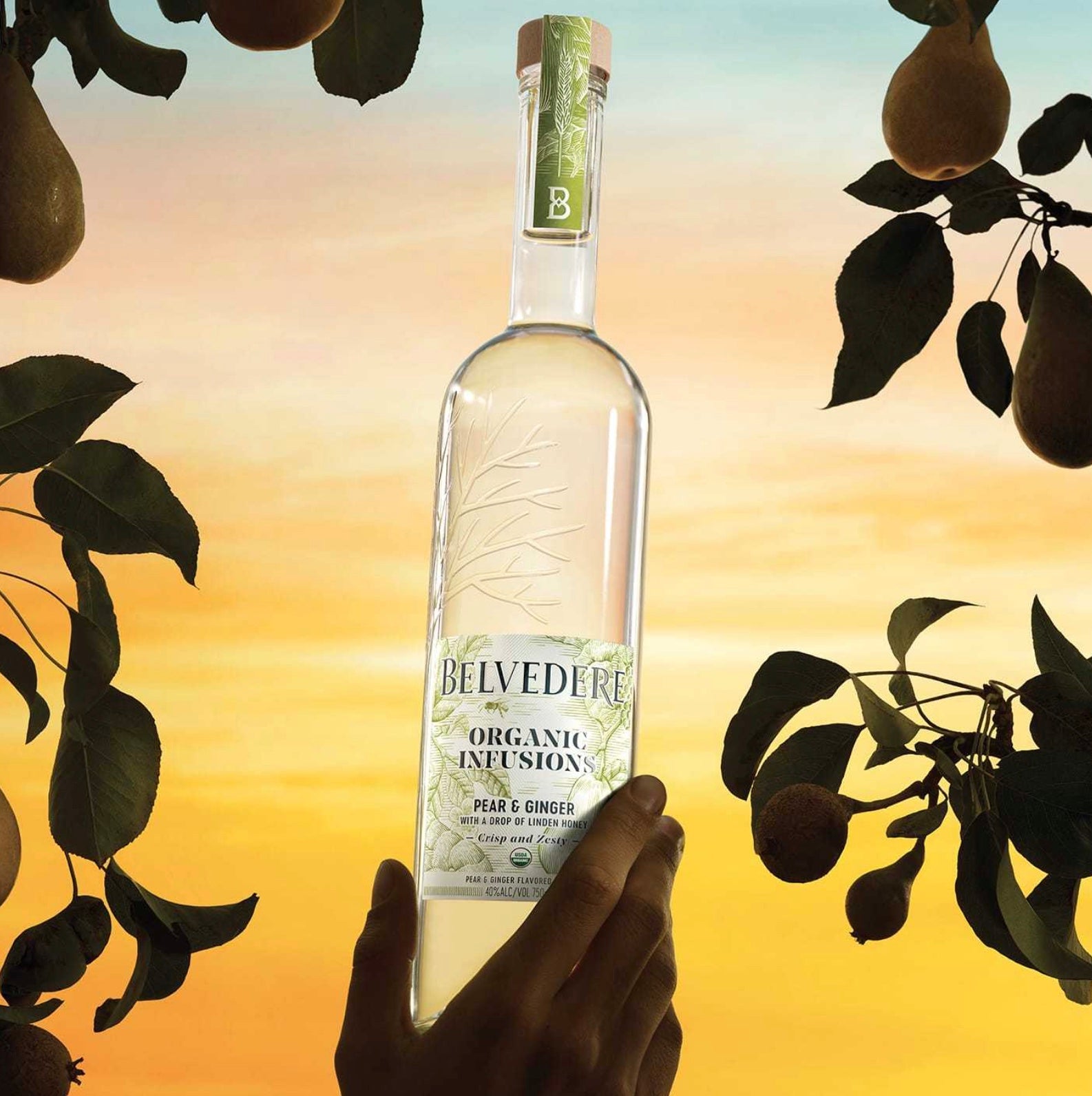 Belvedere Organic Infusions Pear & Ginger with Linden Honey, Vodka 70cl -  Drinks On Tap