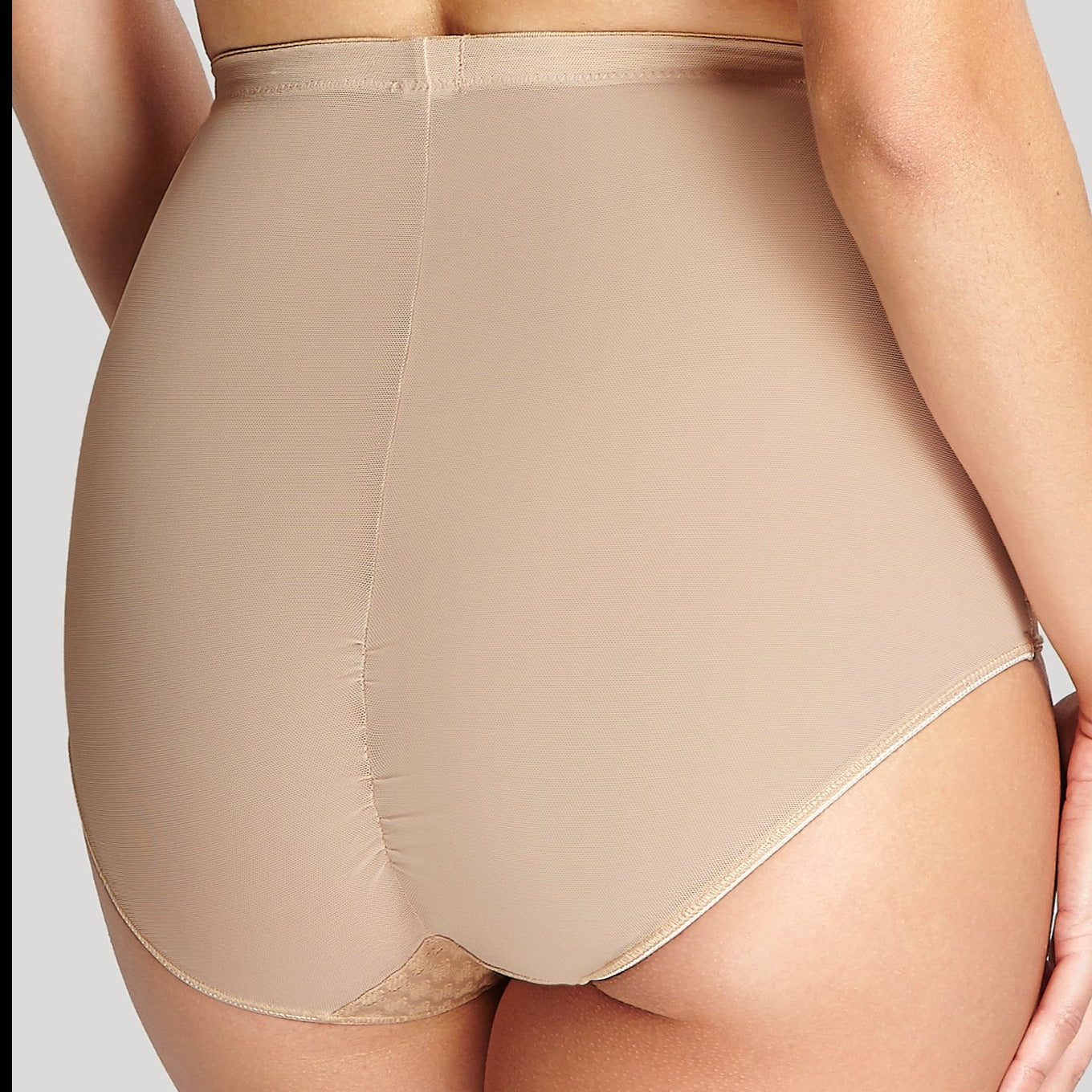 Panache Envy High Waist Brief (Chai)