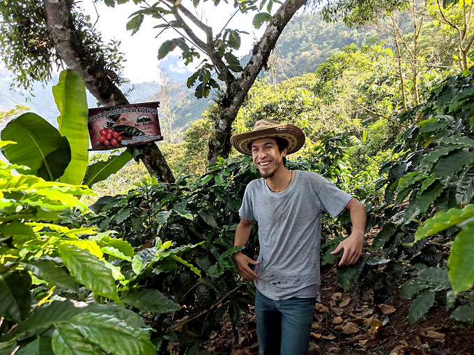 Image: A young farmer wearing a sunhat, grey t-shirt and jeans surrounded by coffee plants.