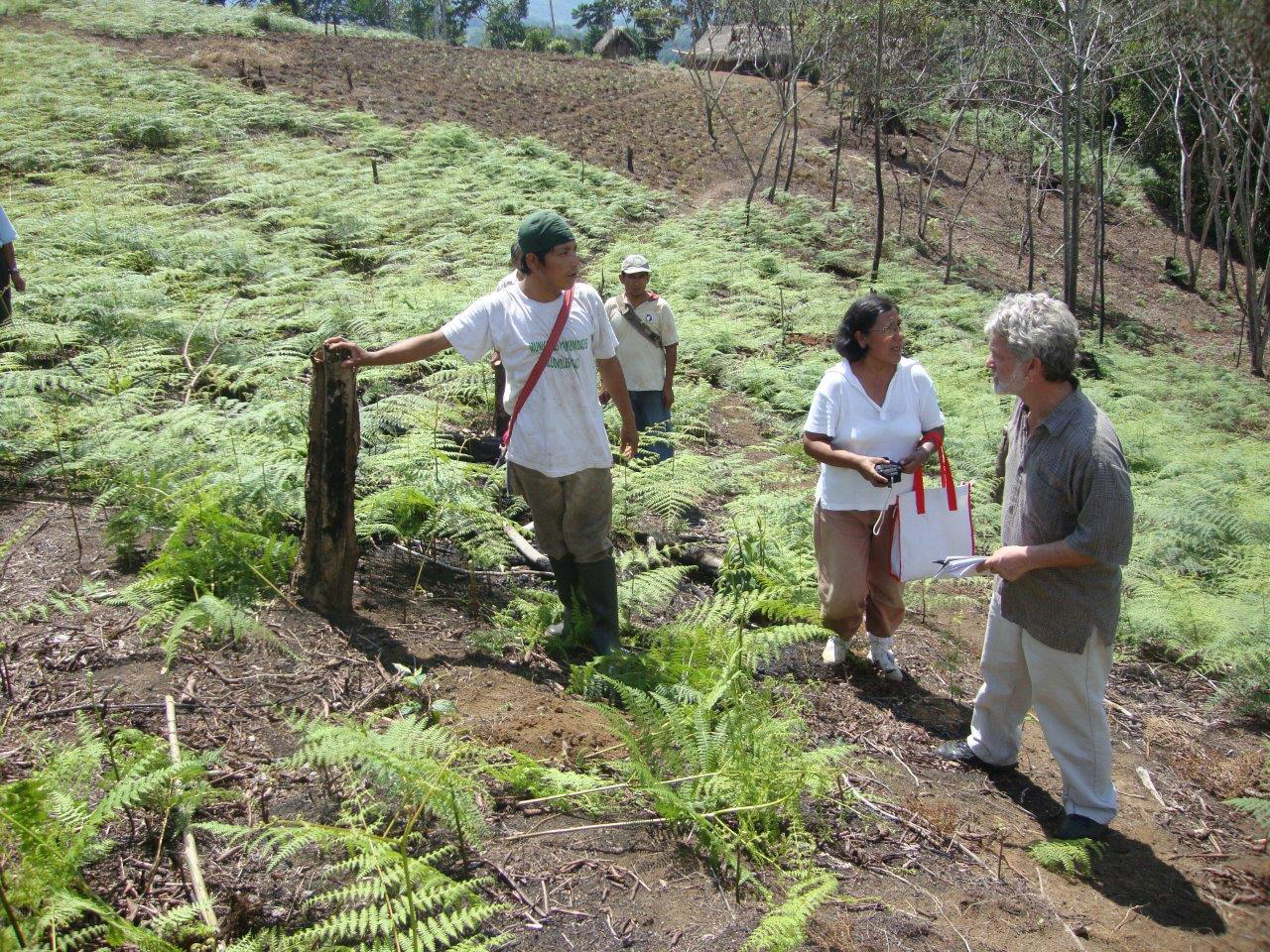 Our reforestation efforts in Peru help create carbon-neutral coffee.