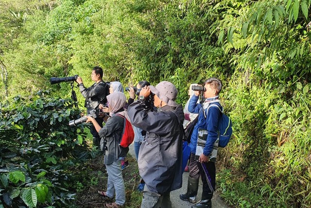 Bird Surveying in Sumatra