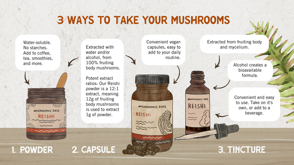 Inforgraphic with details about mushroom powders, tinctures and capsules