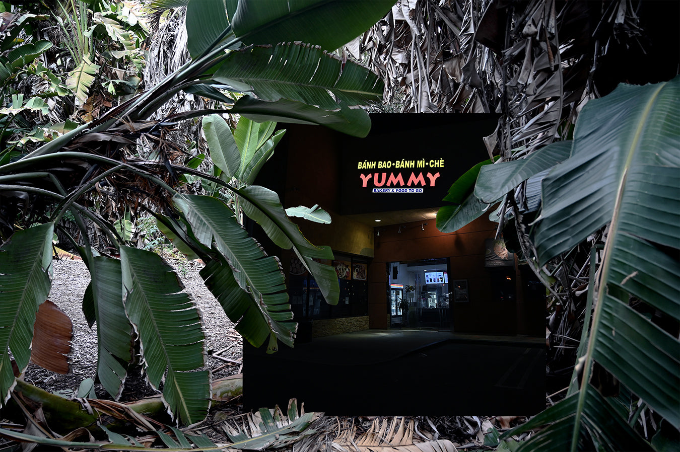 Pho, ann le, annsgood, vietnam war, vietnamese artist, contemporary photography, collage, photomontage