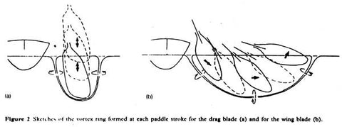 Wing vs flat blade kayak paddle diagram