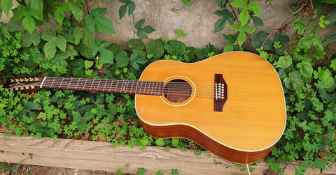 alvarez 5037 12 string