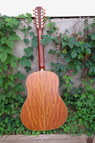 alvarez 5037 12 string