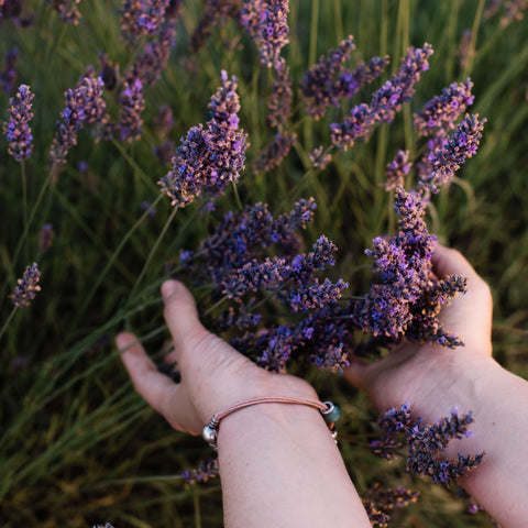 Starling Skincare Lavender Fields. Lavender can soothe, calm and relieve stress and is recommended for anxiety relief.