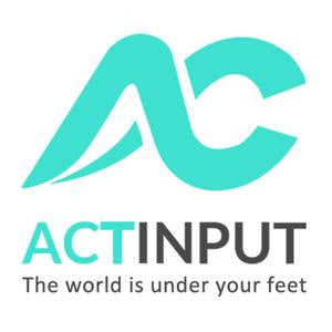 ACTINPUT Compression Socks