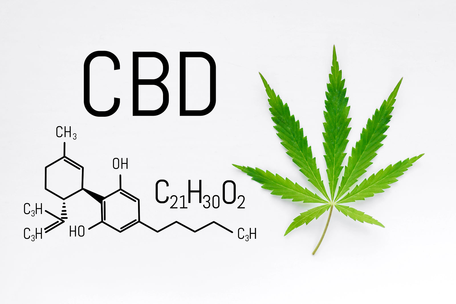 potential CBD nootropic effects