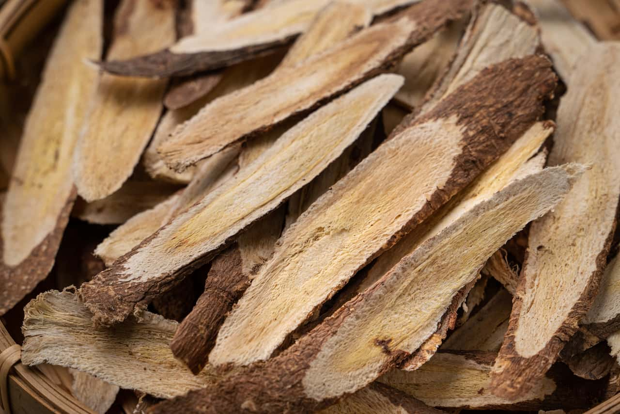 Astragalus Root (Astragalus membranaceus)