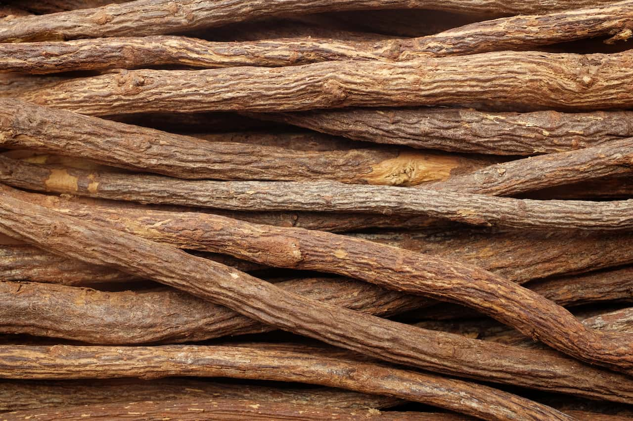 Licorice Root (Glycyrrhiza glabra)