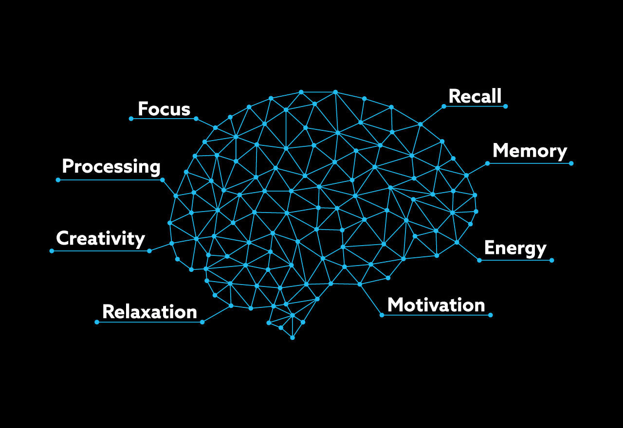 Mind Lab Pro® - What is a nootropic?