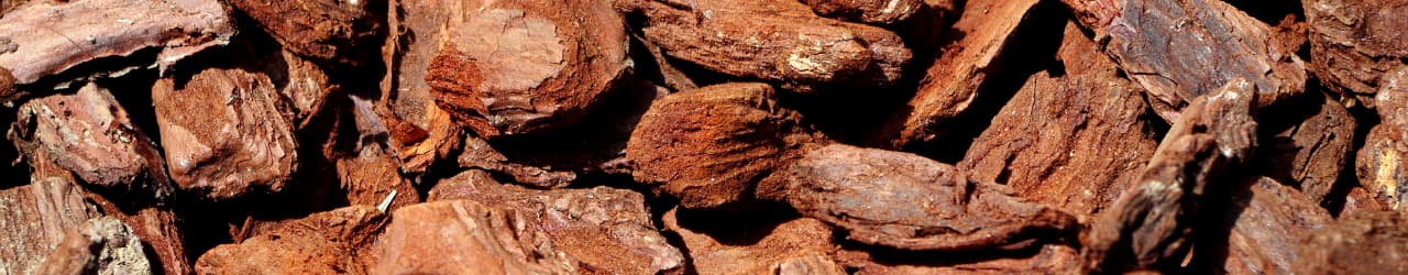 A pile of rough pine bark nuggets, the source of Maritime Pine Bark Extract.