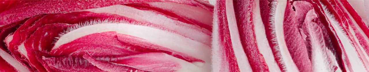 Closeup of a cross-section of red cabbage, which is a great source of natural prebiotics.