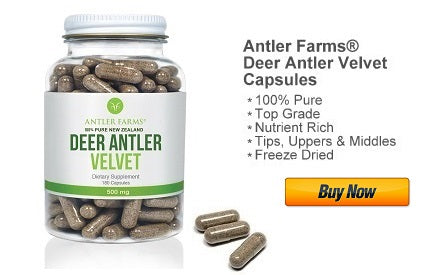 deer antler velvet capsules