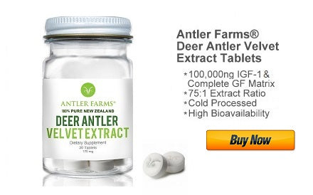 deer antler velvet extract