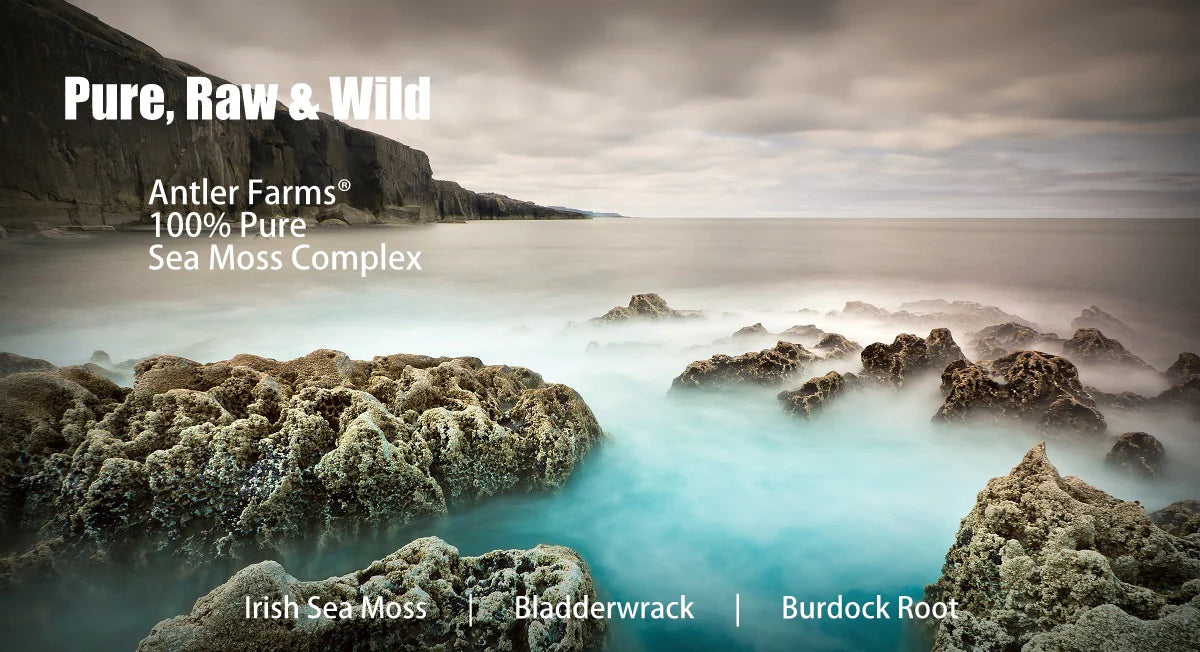 Sea Moss