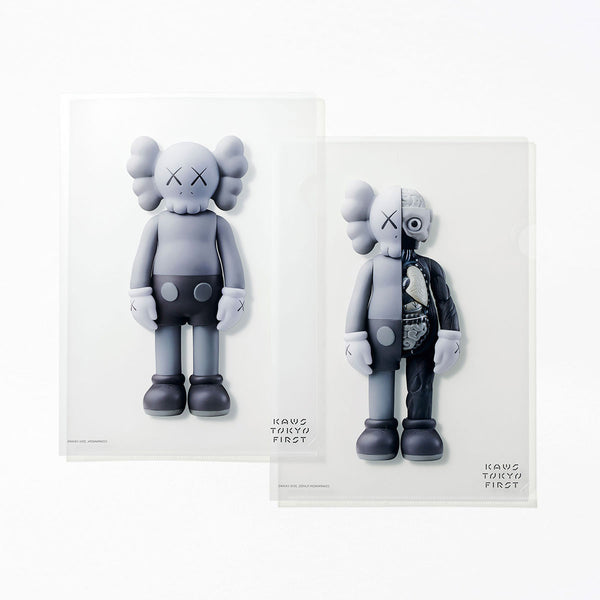 kaws companion Tokyo First #5 www.krzysztofbialy.com