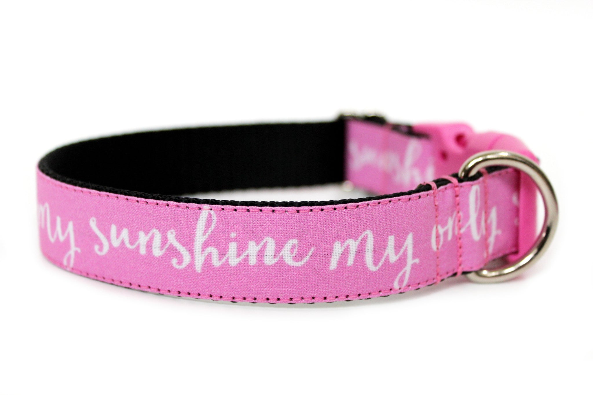 sunshine dog collar