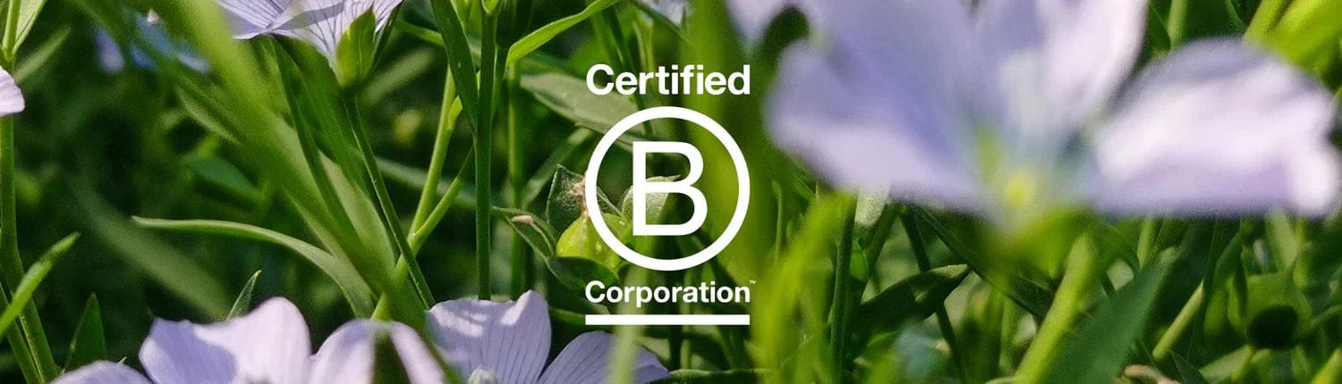 B Corp