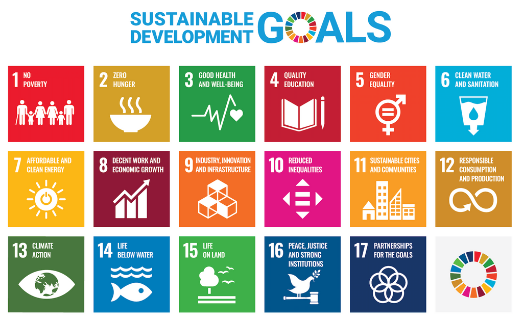 the UNS sustainable development goals