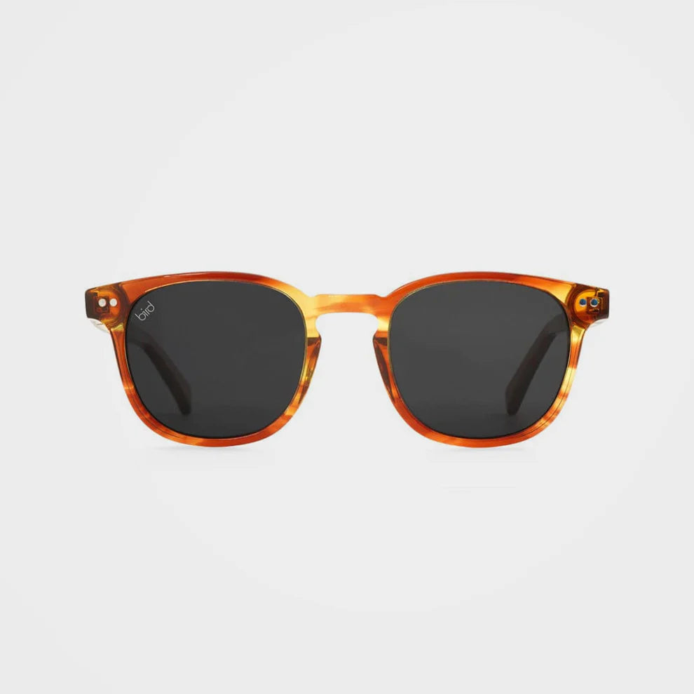 Sustainable glasses, Alba Caramel - By Bird Eyewear