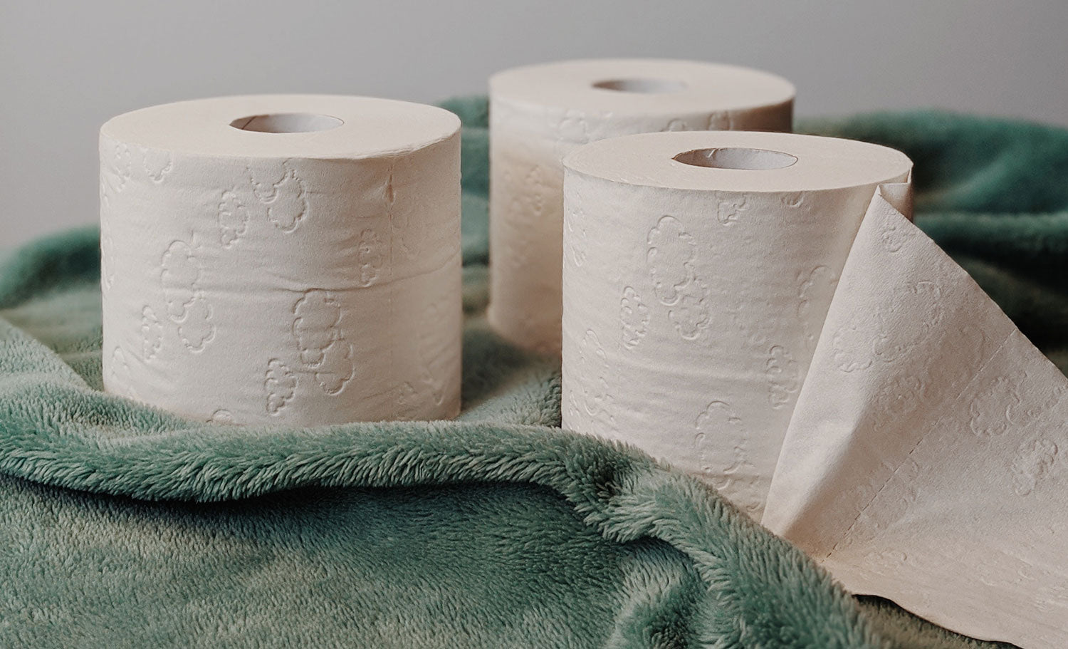 Bamboo Toilet Paper Rolls