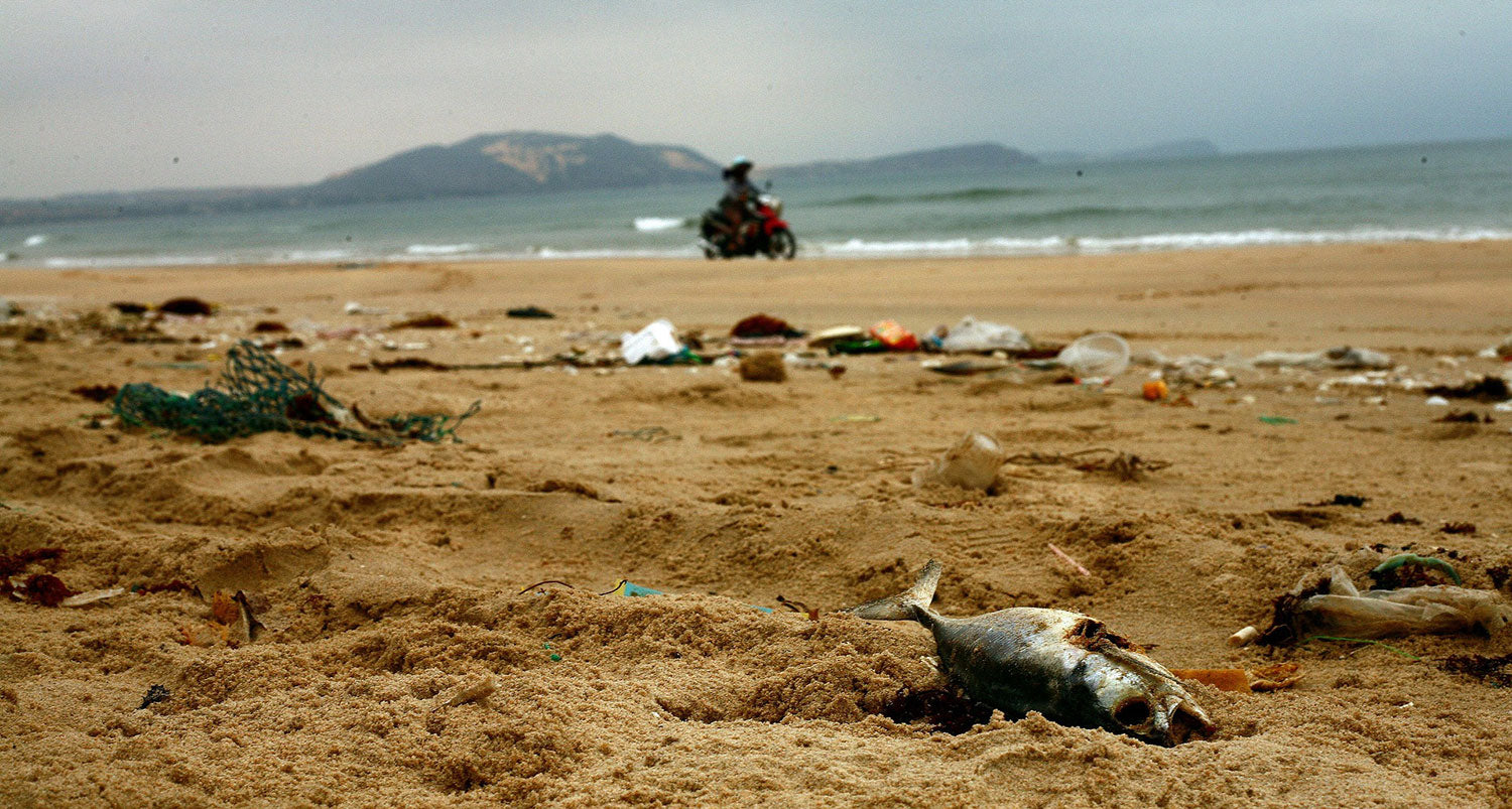Plastikverschmutzung am Strand